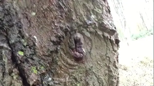 Parhaat Pissing up a tree tehoelokuvat